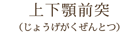 上下顎前突
(じょうげがくぜんとつ)
