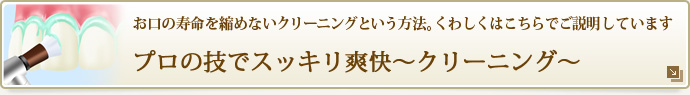 プロの技でスッキリ爽快~クリーニング~