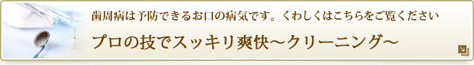 プロの技でスッキリ爽快～クリーニング～